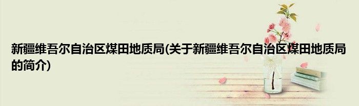 新疆维吾尔自治区煤田地质局(关于新疆维吾尔自治区煤田地质局的简介)