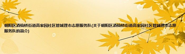 朝阳区酒仙桥街道高家园社区管城理市志愿服务队(关于朝阳区酒仙桥街道高家园社区管城理市志愿服务队的简介)