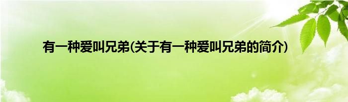 有一种爱叫兄弟(关于有一种爱叫兄弟的简介)