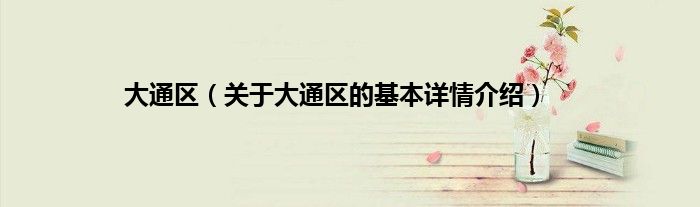 大通区（关于大通区的基本详情介绍）