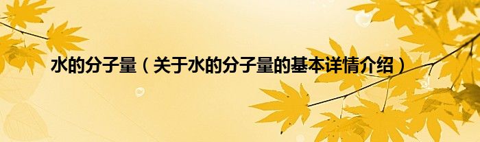 水的分子量（关于水的分子量的基本详情介绍）