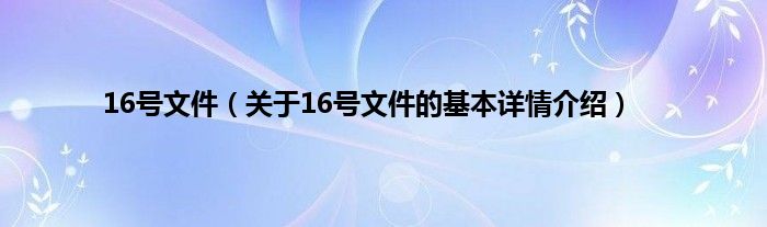 16号文件（关于16号文件的基本详情介绍）