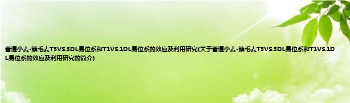 普通小麦-簇毛麦T5VS.5DL易位系和T1VS.1DL易位系的效应及利用研究(关于普通小麦-簇毛麦T5VS.5DL易位系和T1VS.1DL易位系的效应及利用研究的简介)