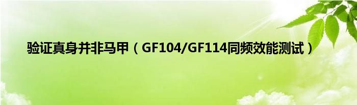 验证真身并非马甲（GF104/GF114同频效能测试）