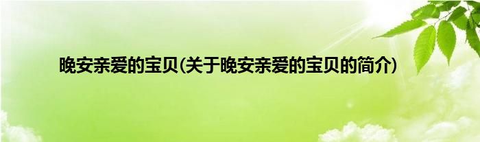 晚安亲爱的宝贝(关于晚安亲爱的宝贝的简介)