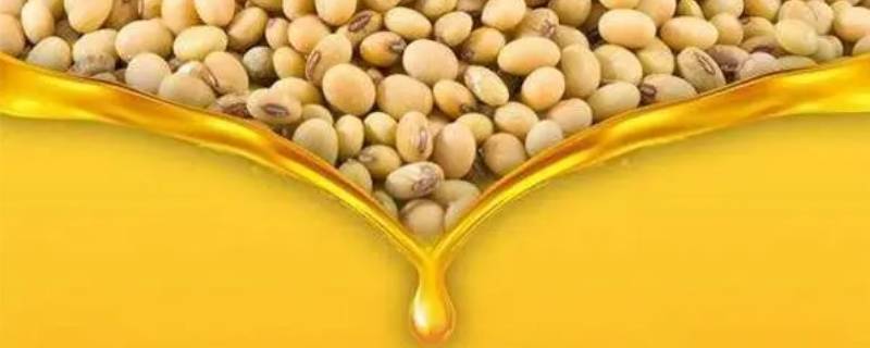 荥阳市万世通宝大豆油二十升多少