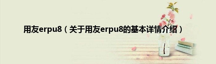 用友erpu8（关于用友erpu8的基本详情介绍）