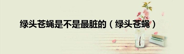 绿头苍蝇是不是最脏的（绿头苍蝇）