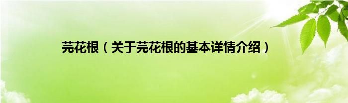 芫花根（关于芫花根的基本详情介绍）