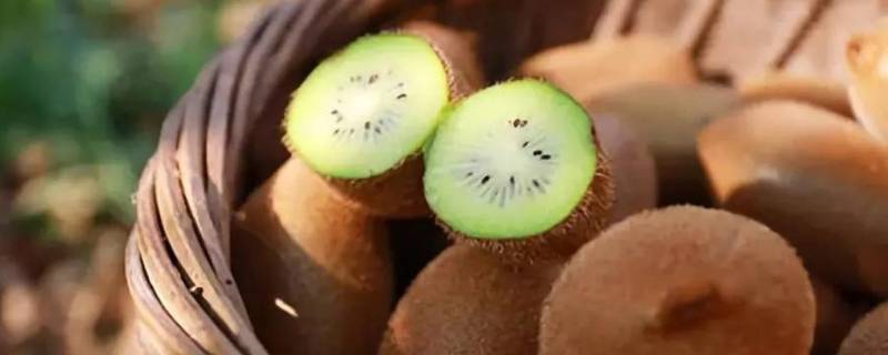猕猴桃对身体有哪些好处