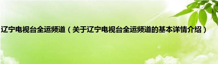 辽宁电视台全运频道（关于辽宁电视台全运频道的基本详情介绍）