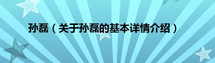 孙磊（关于孙磊的基本详情介绍）