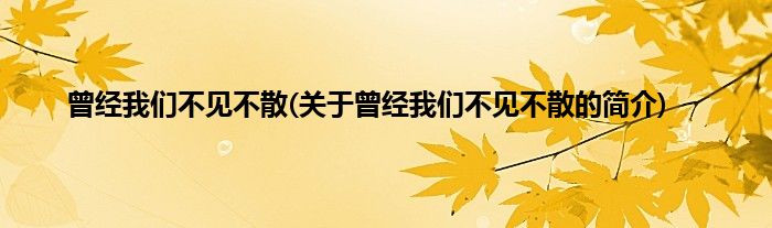 曾经我们不见不散(关于曾经我们不见不散的简介)