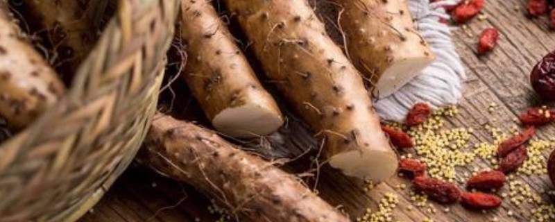 铁棍山药的功效与作用