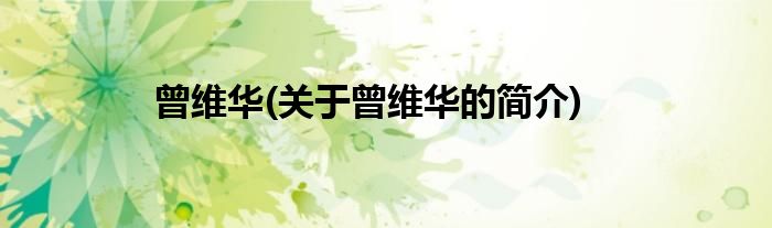 曾维华(关于曾维华的简介)