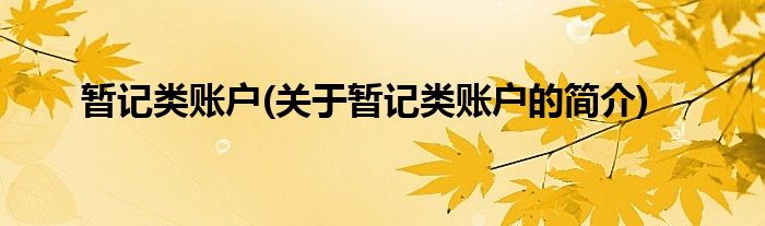 暂记类账户(关于暂记类账户的简介)