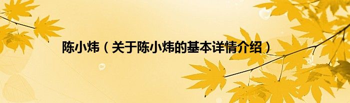 陈小炜（关于陈小炜的基本详情介绍）