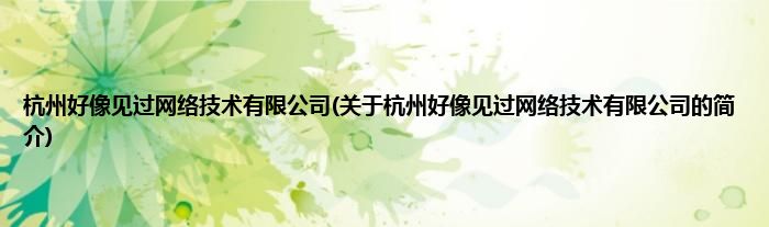 杭州好像见过网络技术有限公司(关于杭州好像见过网络技术有限公司的简介)