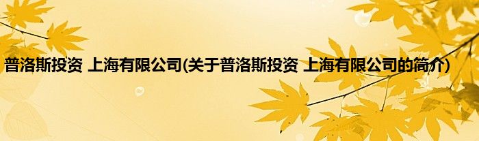 普洛斯投资 上海有限公司(关于普洛斯投资 上海有限公司的简介)