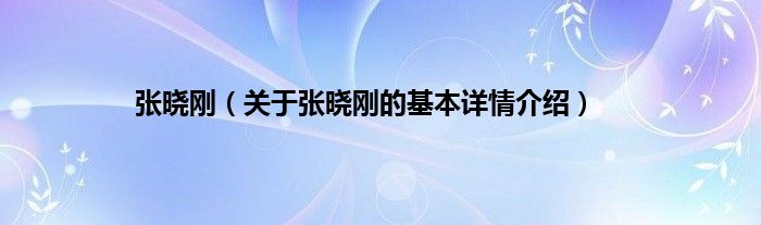 张晓刚(关于张晓刚的基本详情介绍)