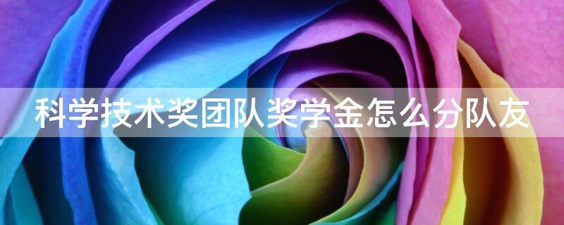 科学技术奖团队奖学金怎么分队友