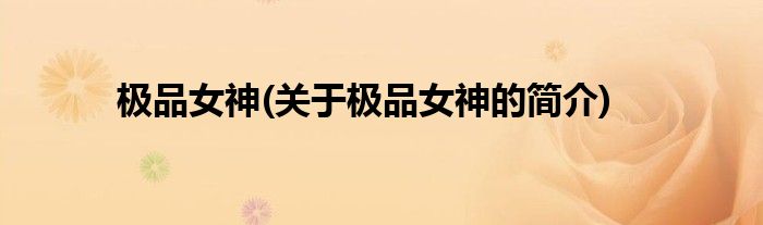极品女神(关于极品女神的简介)