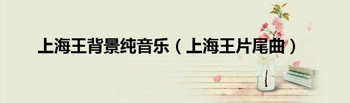 上海王背景纯音乐（上海王片尾曲）