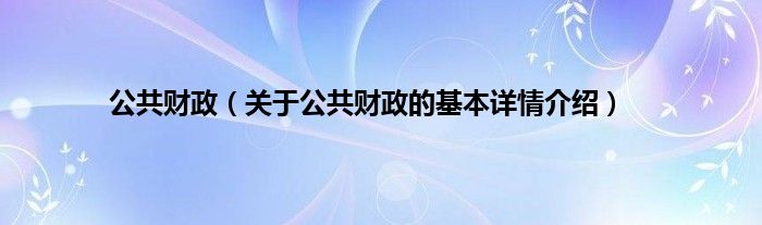 公共财政（关于公共财政的基本详情介绍）