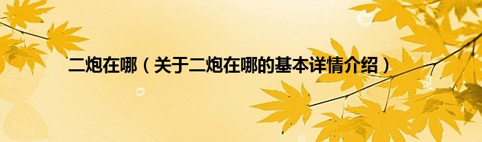 二炮在哪（关于二炮在哪的基本详情介绍）