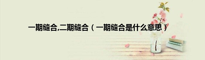 一期缝合,二期缝合（一期缝合是什么意思）