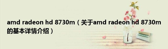 amd radeon hd 8730m（关于amd radeon hd 8730m的基本详情介绍）