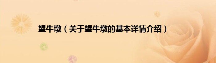 望牛墩（关于望牛墩的基本详情介绍）