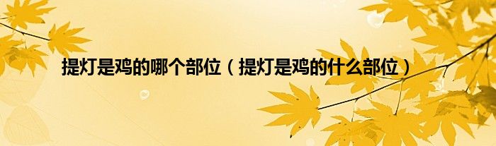 提灯是鸡的哪个部位（提灯是鸡的什么部位）