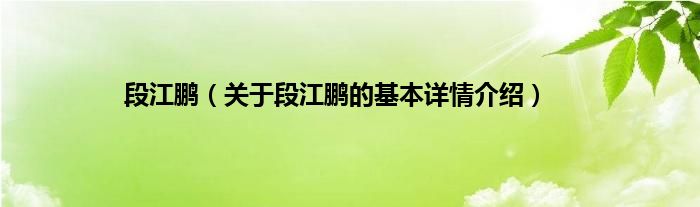 段江鹏（关于段江鹏的基本详情介绍）