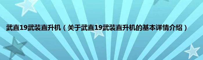武直19武装直升机(关于武直19武装直升机的基本详情介绍)