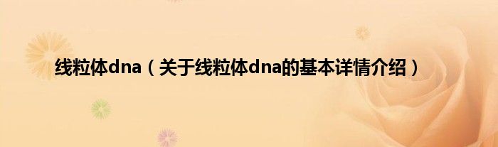 线粒体dna（关于线粒体dna的基本详情介绍）