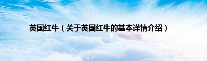英国红牛（关于英国红牛的基本详情介绍）