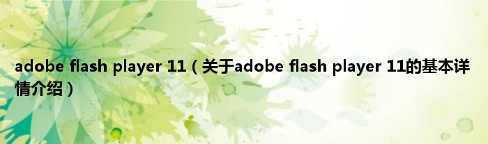 adobe flash player 11（关于adobe flash player 11的基本详情介绍）