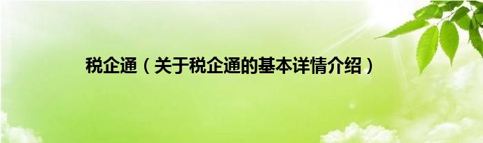 税企通（关于税企通的基本详情介绍）